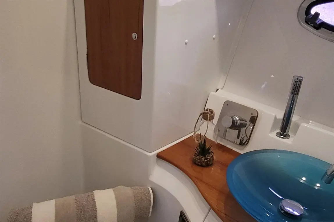A modern boat bathroom featuring a blue basin, wooden countertop, decorative plant, and a grey striped towel.